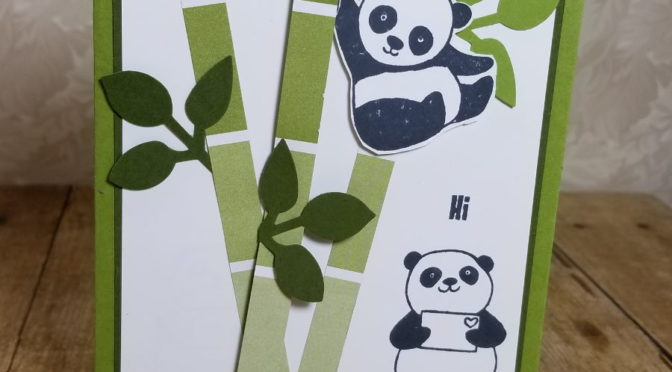 Pandas and Bamboo!