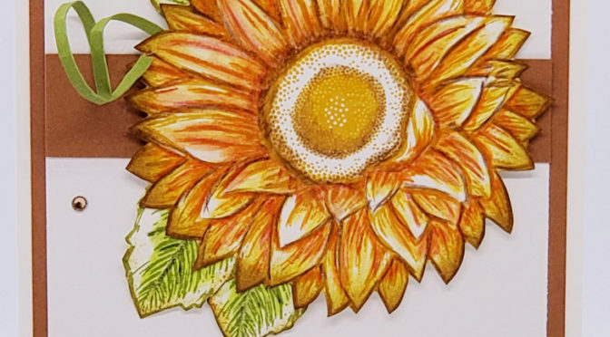Celebrate Sunflowers & Watercolor Pencils